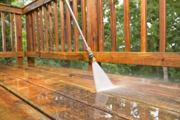 Solar Panel Cleaning in Abbotsford, WI